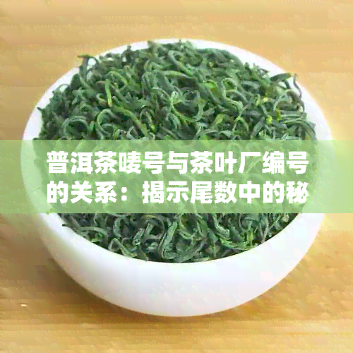 普洱茶唛号与茶叶厂编号的关系：揭示尾数中的秘密