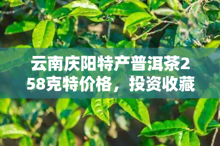 云南庆阳特产普洱茶258克特价格，投资收藏的好选择