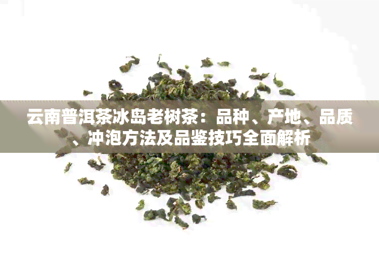 云南普洱茶冰岛老树茶：品种、产地、品质、冲泡方法及品鉴技巧全面解析