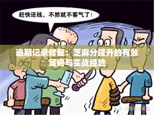 逾期记录修复：芝麻分提升的有效策略与实战经验