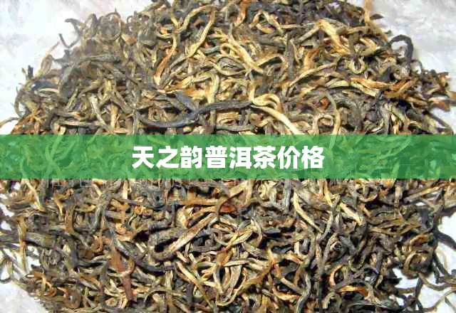 天之韵普洱茶价格