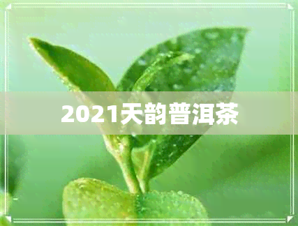 2021天韵普洱茶