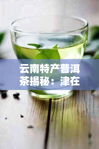 云南特产普洱茶揭秘：津在排位中崭露头角，它在第几？