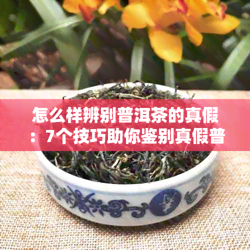 怎么样辨别普洱茶的真假：7个技巧助你鉴别真假普洱茶叶