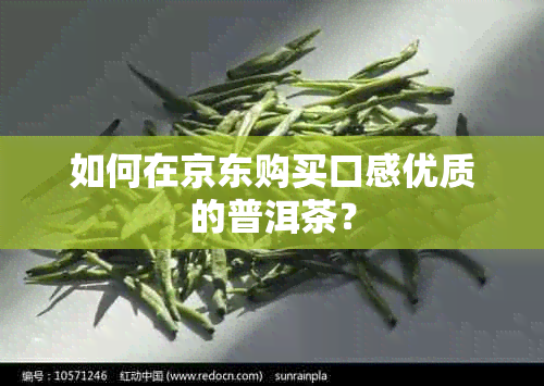 如何在京东购买口感优质的普洱茶？