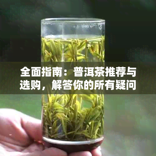 全面指南：普洱茶推荐与选购，解答你的所有疑问