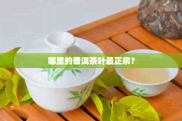 哪里的普洱茶叶最正宗？