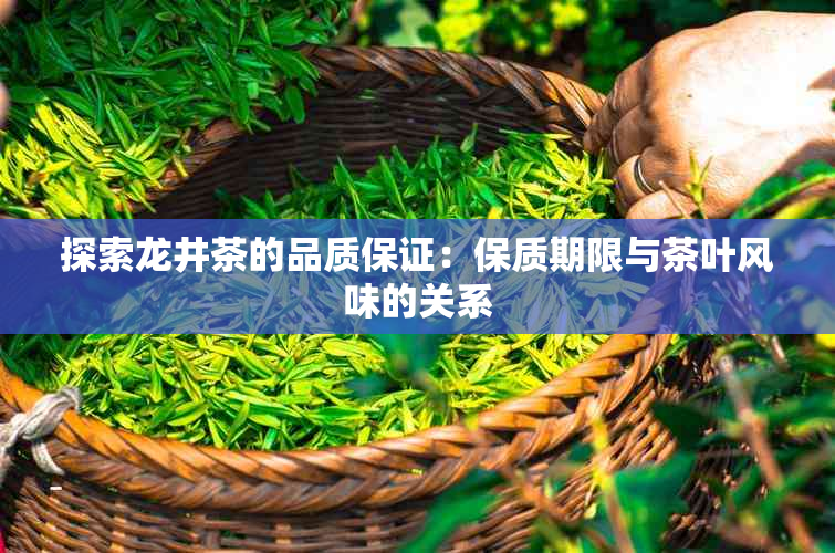 探索龙井茶的品质保证：保质期限与茶叶风味的关系