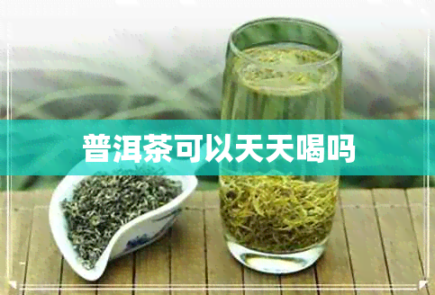 普洱茶可以天天喝吗