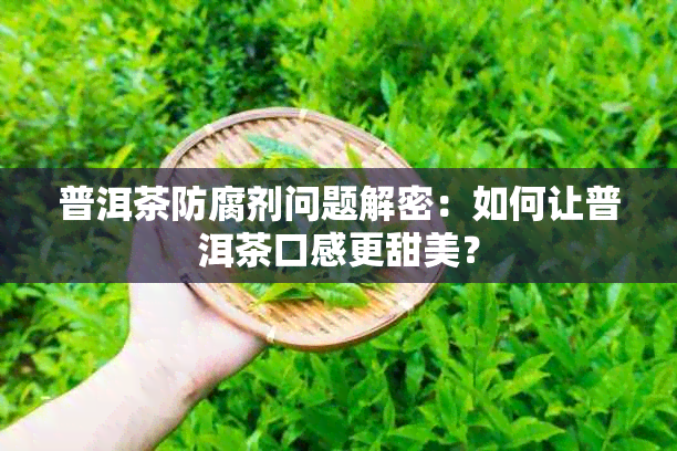 普洱茶防腐剂问题解密：如何让普洱茶口感更甜美？