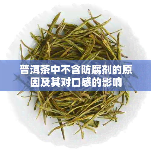 普洱茶中不含防腐剂的原因及其对口感的影响