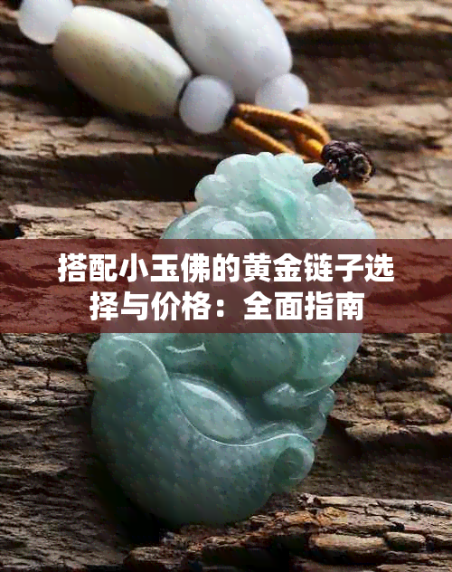 搭配小玉佛的黄金链子选择与价格：全面指南