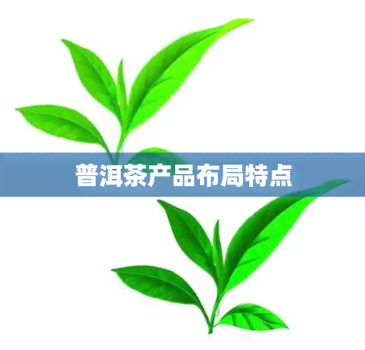 普洱茶产品布局特点