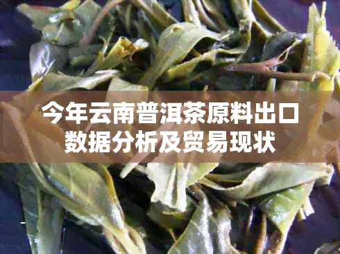 今年云南普洱茶原料出口数据分析及贸易现状