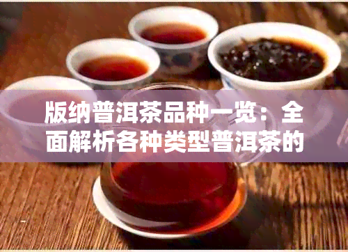 版纳普洱茶品种一览：全面解析各种类型普洱茶的特点与口感