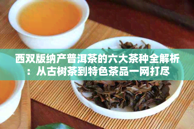 西双版纳产普洱茶的六大茶种全解析：从古树茶到特色茶品一网打尽