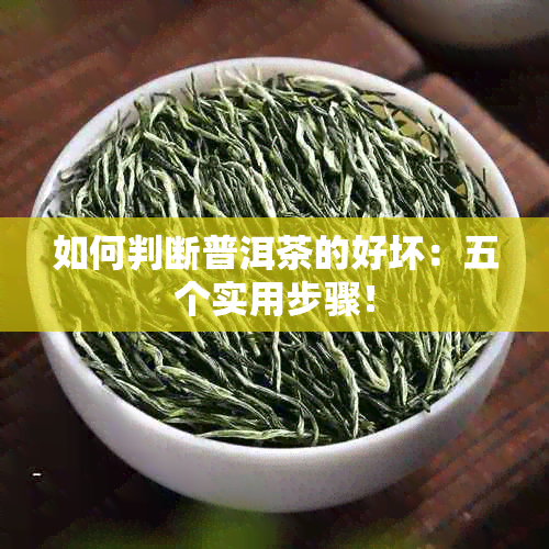 如何判断普洱茶的好坏：五个实用步骤！