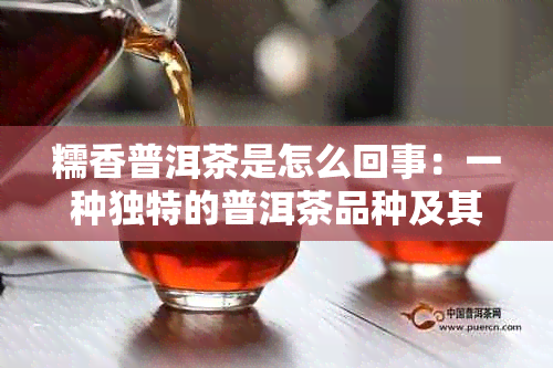 糯香普洱茶是怎么回事：一种独特的普洱茶品种及其功效、作用与禁忌