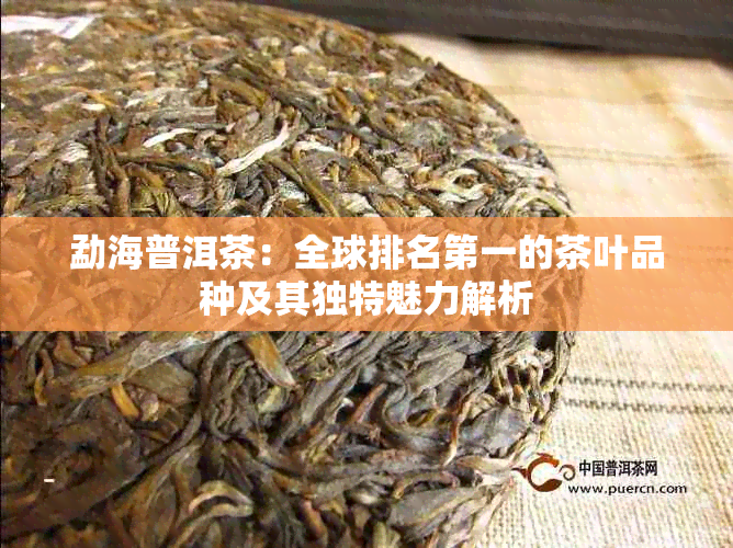勐海普洱茶：全球排名之一的茶叶品种及其独特魅力解析