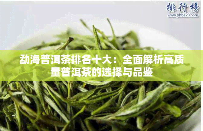 勐海普洱茶排名十大：全面解析高质量普洱茶的选择与品鉴