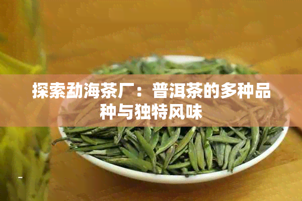 探索勐海茶厂：普洱茶的多种品种与独特风味