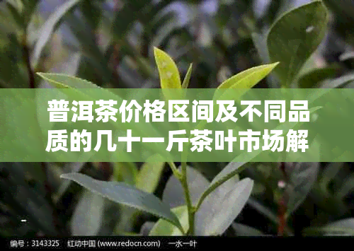 普洱茶价格区间及不同品质的几十一斤茶叶市场解析