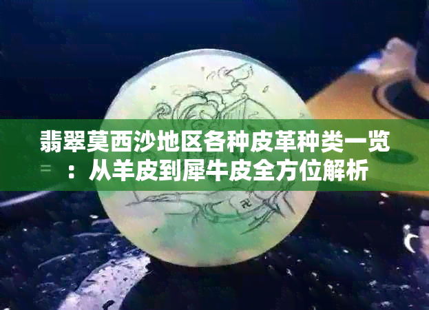 翡翠莫西沙地区各种皮革种类一览：从羊皮到犀牛皮全方位解析