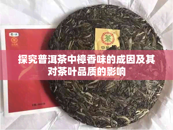 探究普洱茶中樟香味的成因及其对茶叶品质的影响