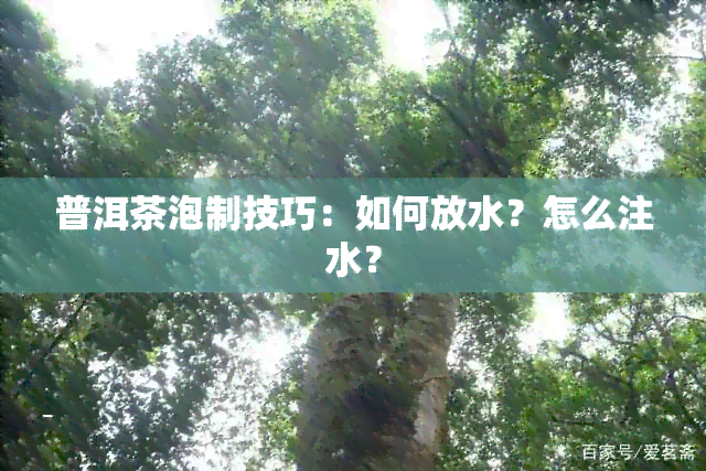 普洱茶泡制技巧：如何放水？怎么注水？