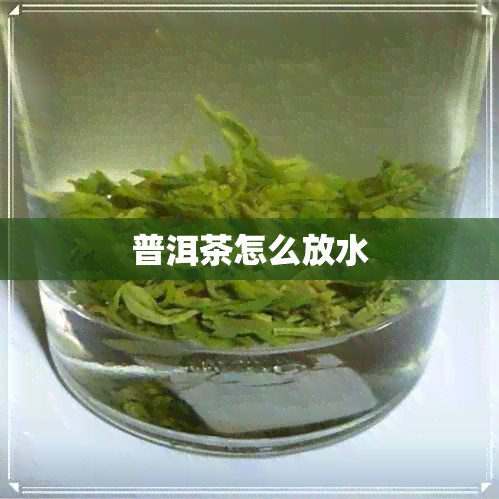 普洱茶怎么放水