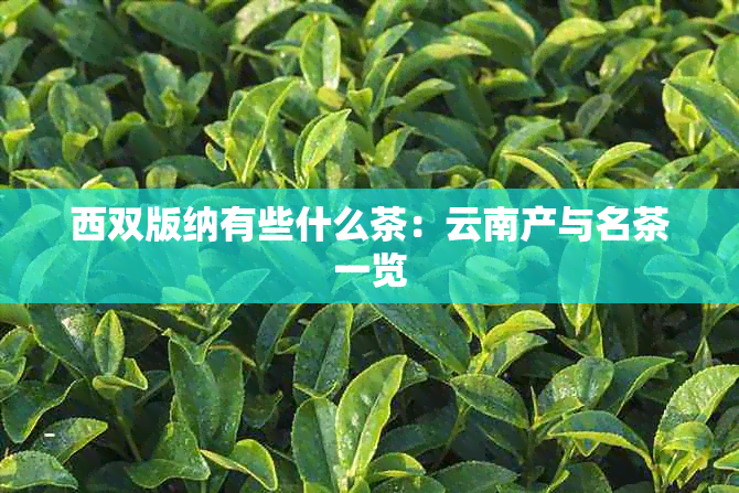 西双版纳有些什么茶：云南产与名茶一览