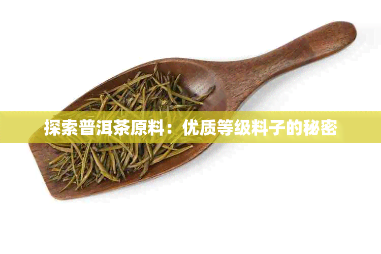 探索普洱茶原料：优质等级料子的秘密