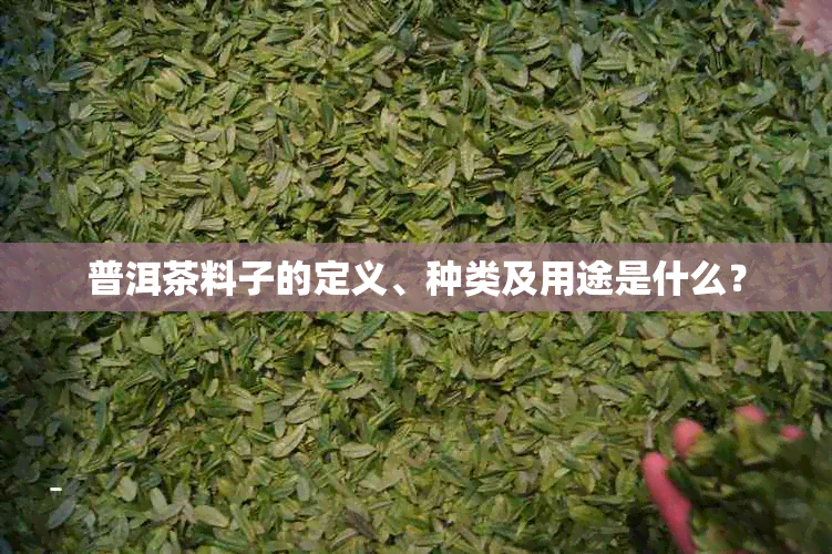 普洱茶料子的定义、种类及用途是什么？