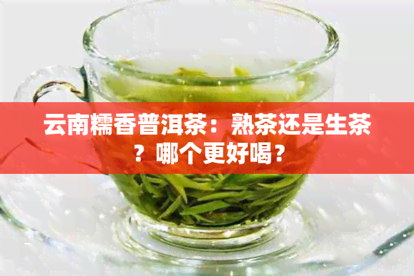 云南糯香普洱茶：熟茶还是生茶？哪个更好喝？