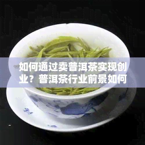 如何通过卖普洱茶实现创业？普洱茶行业前景如何？