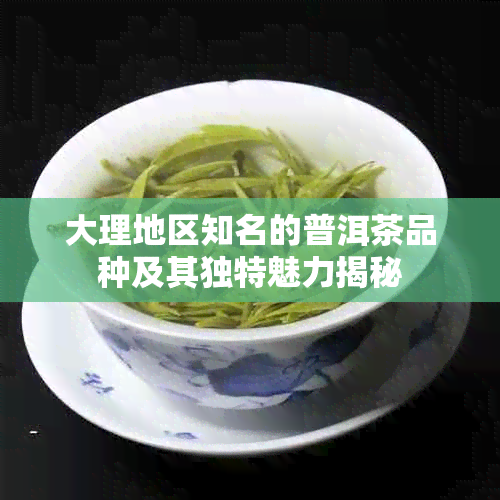 大理地区知名的普洱茶品种及其独特魅力揭秘