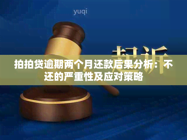 拍拍贷逾期两个月还款后果分析：不还的严重性及应对策略