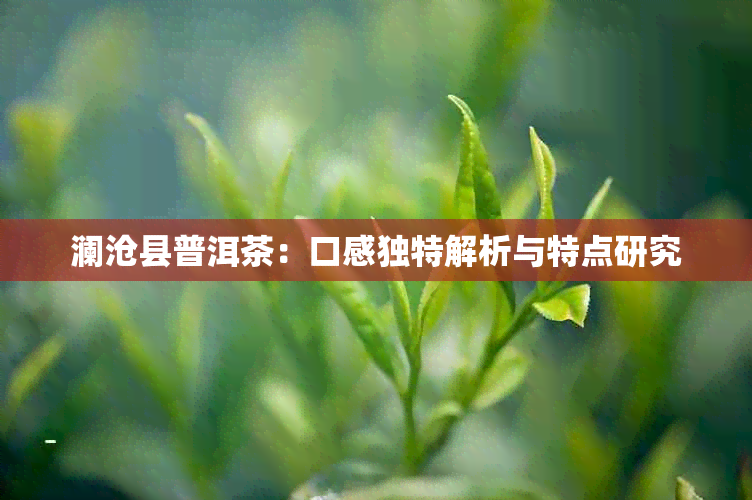 澜沧县普洱茶：口感独特解析与特点研究