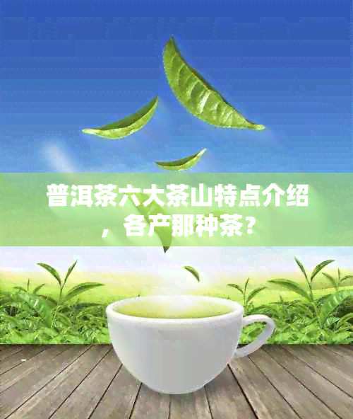 普洱茶六大茶山特点介绍，各产那种茶？