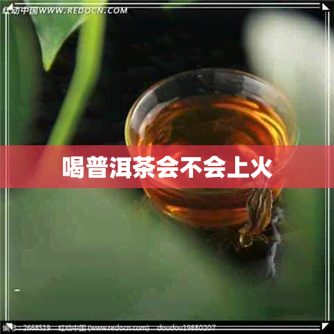 喝普洱茶会不会上火