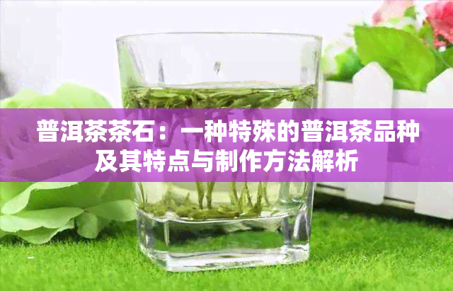 普洱茶茶石：一种特殊的普洱茶品种及其特点与制作方法解析