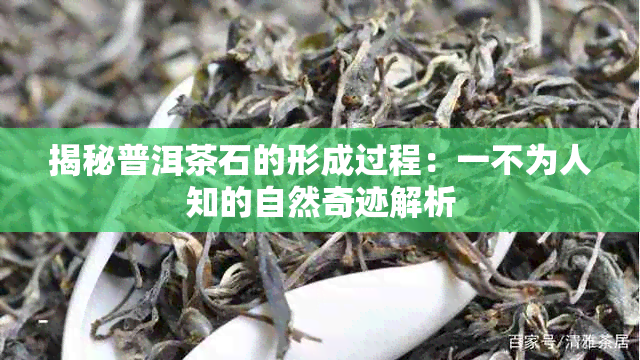 揭秘普洱茶石的形成过程：一不为人知的自然奇迹解析