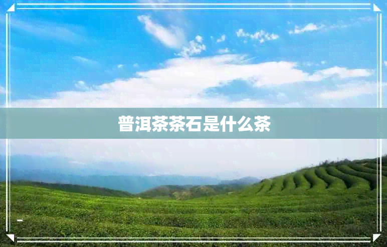 普洱茶茶石是什么茶