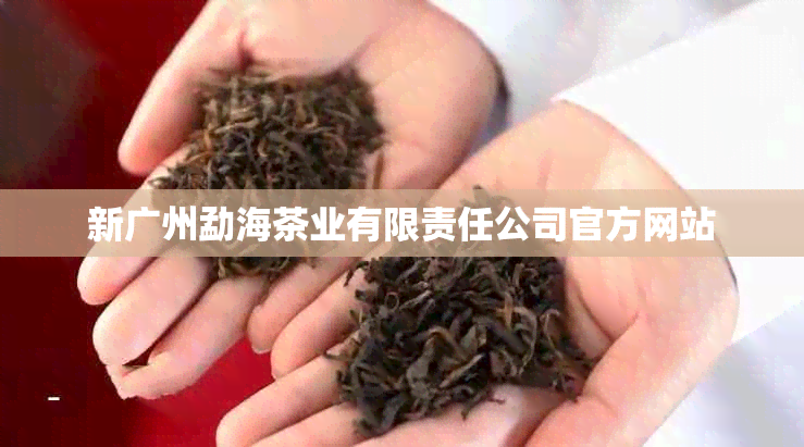 新广州勐海茶业有限责任公司官方网站