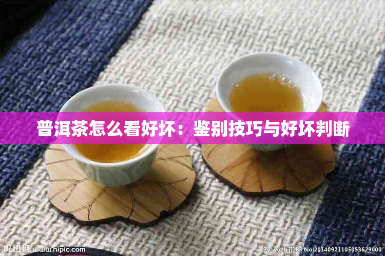 普洱茶怎么看好坏：鉴别技巧与好坏判断