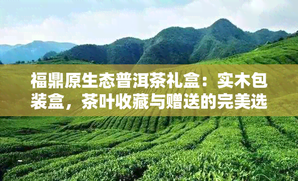 福鼎原生态普洱茶礼盒：实木包装盒，茶叶收藏与赠送的完美选择