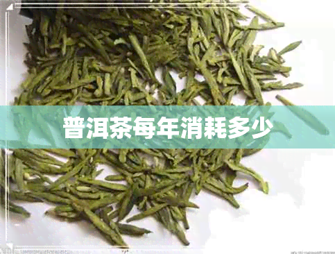 普洱茶每年消耗多少