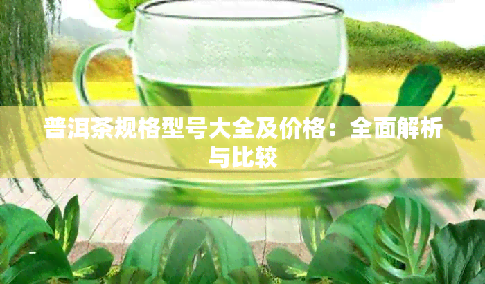 普洱茶规格型号大全及价格：全面解析与比较