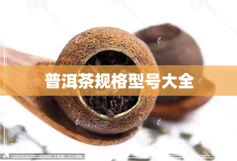 普洱茶规格型号大全