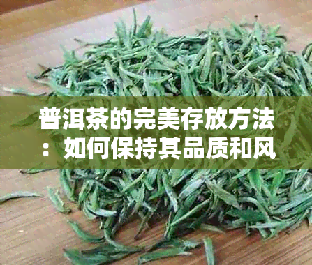 普洱茶的完美存放方法：如何保持其品质和风味